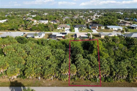 Land in Port Charlotte, Florida № 2159901
