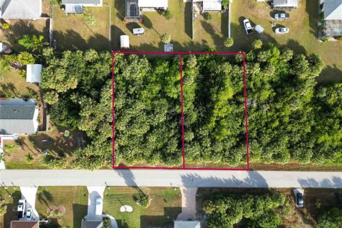 Land in Port Charlotte, Florida № 2159901 - photo 2