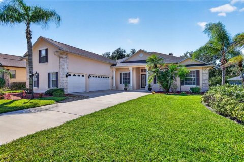 Villa ou maison à vendre à Valrico, Floride: 5 chambres, 301.93 m2 № 2414089 - photo 3