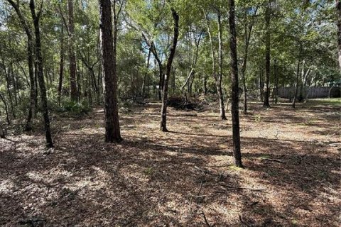 Villa ou maison à vendre à Ocklawaha, Floride: 2 chambres, 41.81 m2 № 1907005 - photo 25