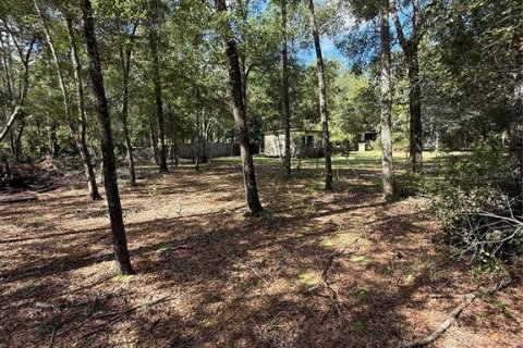 Villa ou maison à vendre à Ocklawaha, Floride: 2 chambres, 41.81 m2 № 1907005 - photo 24
