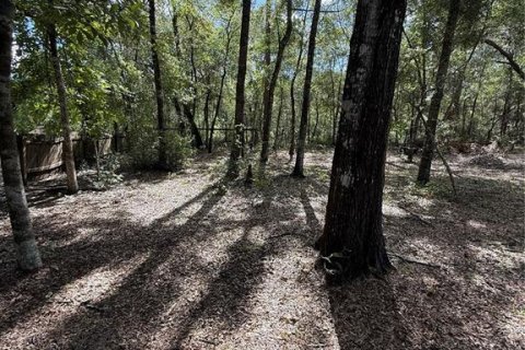 Villa ou maison à vendre à Ocklawaha, Floride: 2 chambres, 41.81 m2 № 1907005 - photo 23