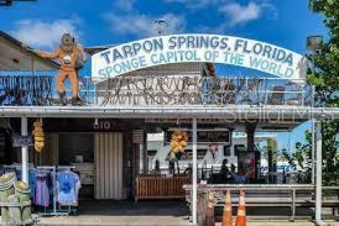 House in Tarpon Springs, Florida 3 bedrooms, 221.85 sq.m. № 1529377 - photo 19