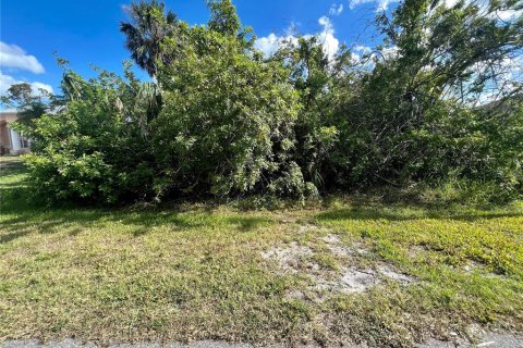 Land in Port Charlotte, Florida № 1721558 - photo 1