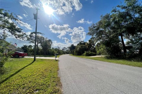Land in Port Charlotte, Florida № 1721558 - photo 2