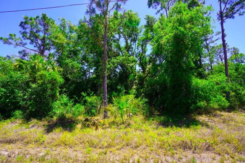 Land in Port Charlotte, Florida № 2162440 - photo 17