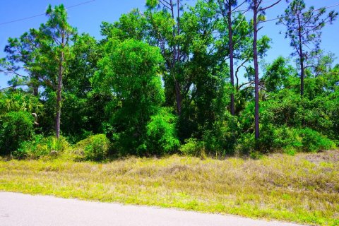 Land in Port Charlotte, Florida № 2162440 - photo 15