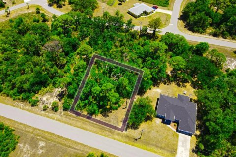 Land in Port Charlotte, Florida № 2162440