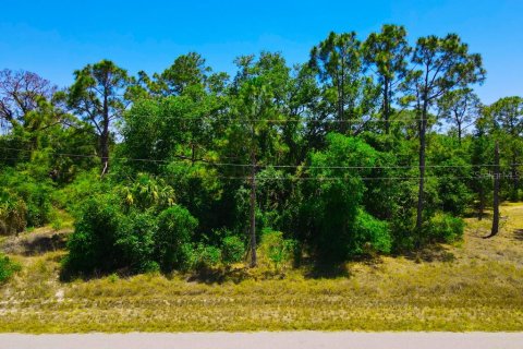 Land in Port Charlotte, Florida № 2162440 - photo 11