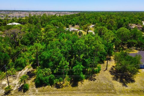 Land in Port Charlotte, Florida № 2162440 - photo 5