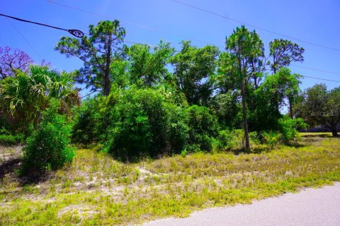 Land in Port Charlotte, Florida № 2162440 - photo 18