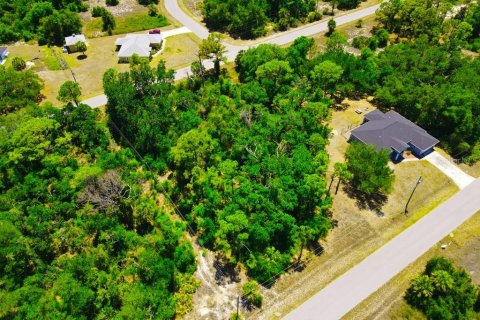 Land in Port Charlotte, Florida № 2162440 - photo 8