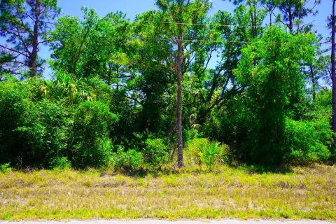 Land in Port Charlotte, Florida № 2162440 - photo 14