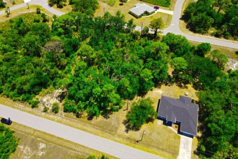 Land in Port Charlotte, Florida № 2162440 - photo 4