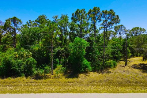 Land in Port Charlotte, Florida № 2162440 - photo 12