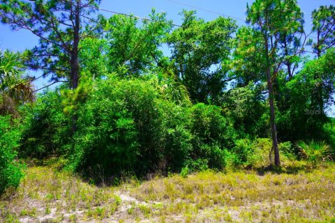 Land in Port Charlotte, Florida № 2162440 - photo 19