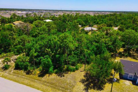 Land in Port Charlotte, Florida № 2162440 - photo 2