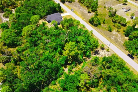 Land in Port Charlotte, Florida № 2162440 - photo 10