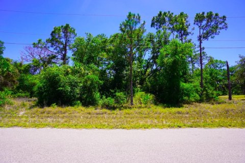 Land in Port Charlotte, Florida № 2162440 - photo 13