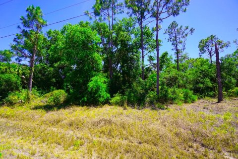 Land in Port Charlotte, Florida № 2162440 - photo 16
