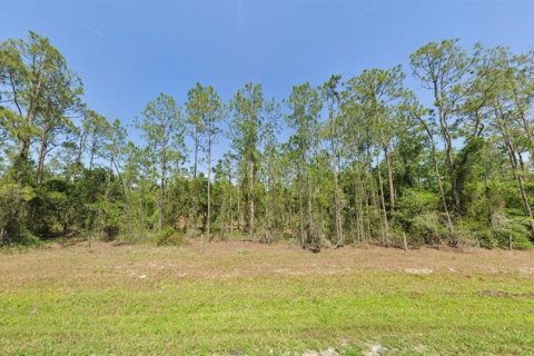 Terreno en venta en Lake Wales, Florida № 2226956 - foto 2