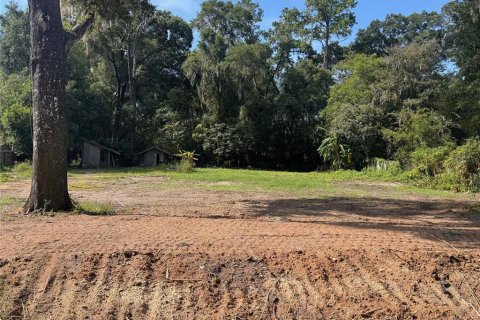 Terrain à vendre à Ocala, Floride № 1919336 - photo 4