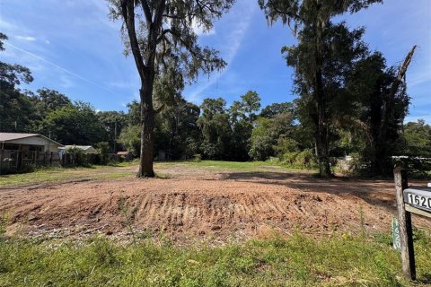 Terrain à vendre à Ocala, Floride № 1919336 - photo 3