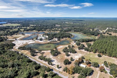 Land in Umatilla, Florida № 824527 - photo 5