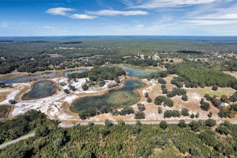 Land in Umatilla, Florida № 824527 - photo 8