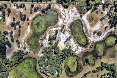 Land in Umatilla, Florida № 824527 - photo 13