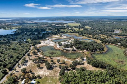 Land in Umatilla, Florida № 824527 - photo 9