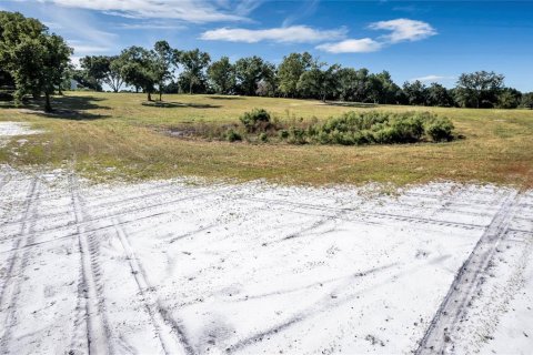 Land in Umatilla, Florida № 824527 - photo 3