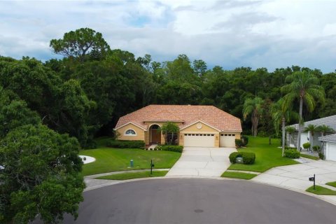House in Oldsmar, Florida 4 bedrooms, 242.1 sq.m. № 1800174 - photo 2