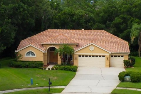 House in Oldsmar, Florida 4 bedrooms, 242.1 sq.m. № 1800174 - photo 1