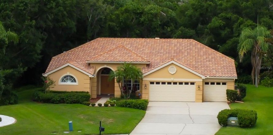 House in Oldsmar, Florida 4 bedrooms, 242.1 sq.m. № 1800174