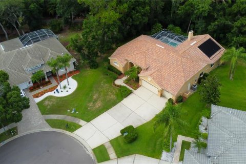 House in Oldsmar, Florida 4 bedrooms, 242.1 sq.m. № 1800174 - photo 3