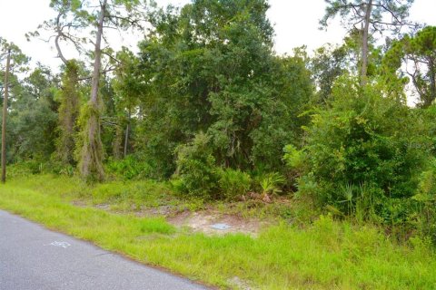 Land in Port Charlotte, Florida № 2360749
