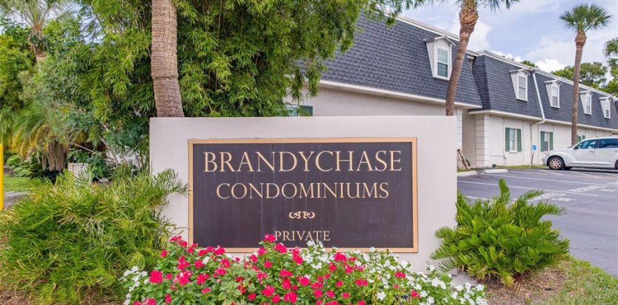 Condo à Tampa, Floride, 2 chambres № 2378257