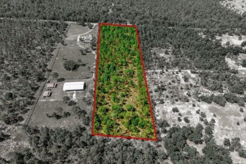 Terreno en venta en Dunnellon, Florida № 1773174 - foto 5