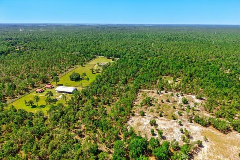 Terreno en venta en Dunnellon, Florida № 1773174 - foto 3