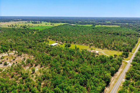 Terreno en venta en Dunnellon, Florida № 1773174 - foto 6