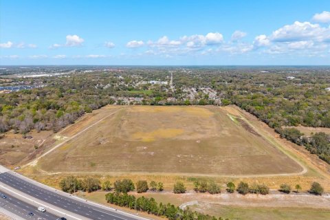 Land in Apopka, Florida № 2111637 - photo 12