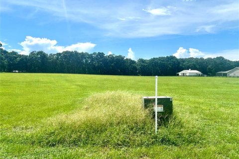 Land in High Springs, Florida № 1871113 - photo 5