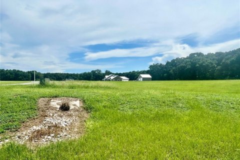Land in High Springs, Florida № 1871113 - photo 3