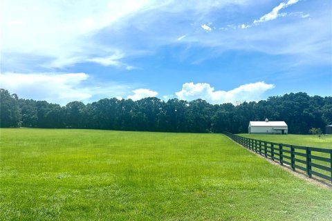 Land in High Springs, Florida № 1871113 - photo 6