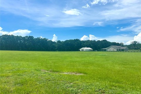 Land in High Springs, Florida № 1871113 - photo 2