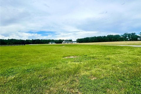 Land in High Springs, Florida № 1871113 - photo 4
