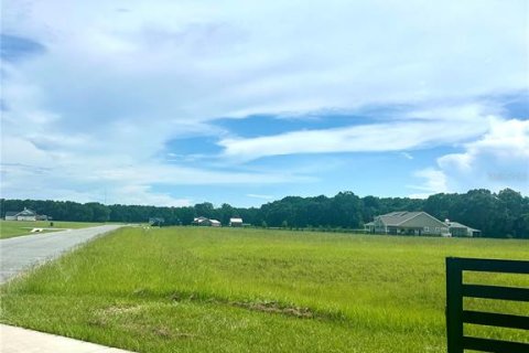 Land in High Springs, Florida № 1871113 - photo 7