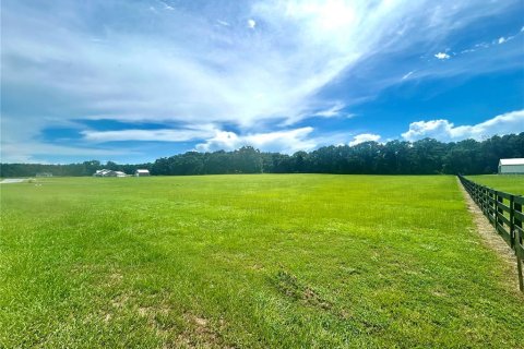 Land in High Springs, Florida № 1871113 - photo 1