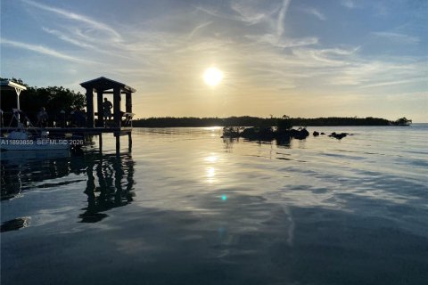 House in Key Largo, Florida 2 bedrooms, 71.35 sq.m. № 2013961 - photo 17